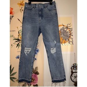 Express Mom Jean